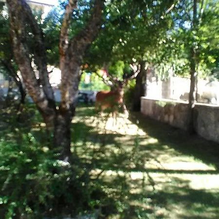 Appartamenti De Sanctis Villetta Barrea Zewnętrze zdjęcie