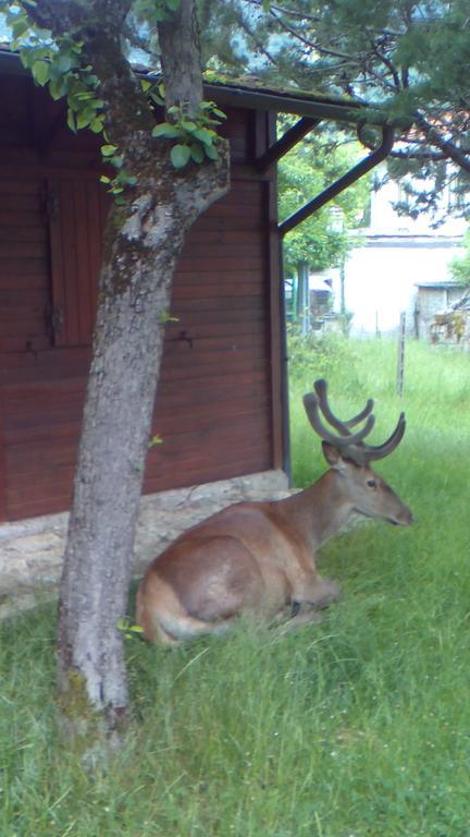 Appartamenti De Sanctis Villetta Barrea Zewnętrze zdjęcie