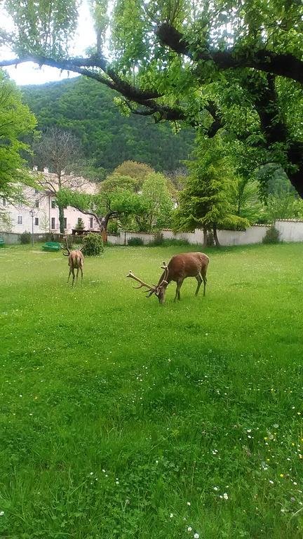 Appartamenti De Sanctis Villetta Barrea Zewnętrze zdjęcie