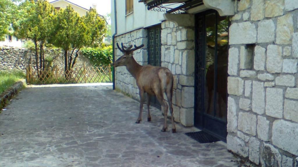 Appartamenti De Sanctis Villetta Barrea Zewnętrze zdjęcie