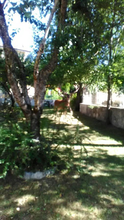 Appartamenti De Sanctis Villetta Barrea Zewnętrze zdjęcie